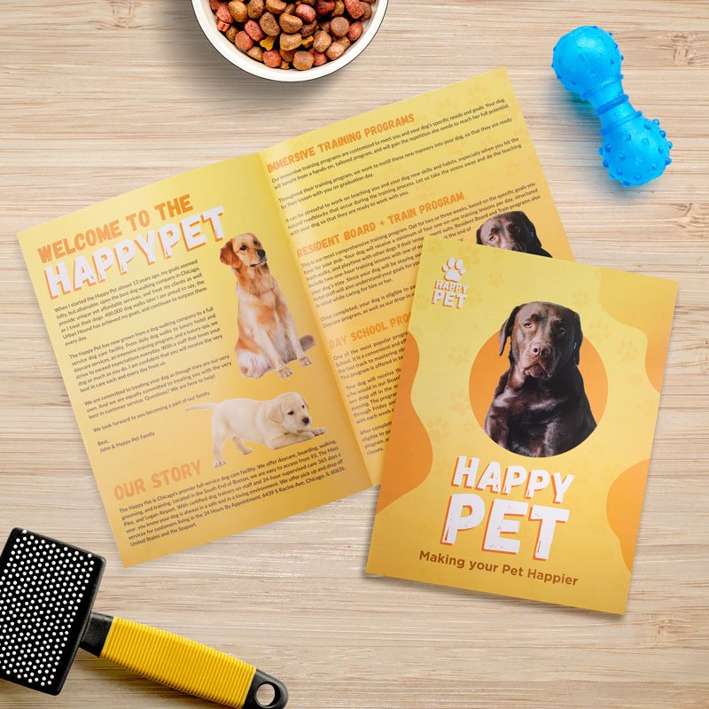 11__x_17__Brochures_664258b8304d3.jpg